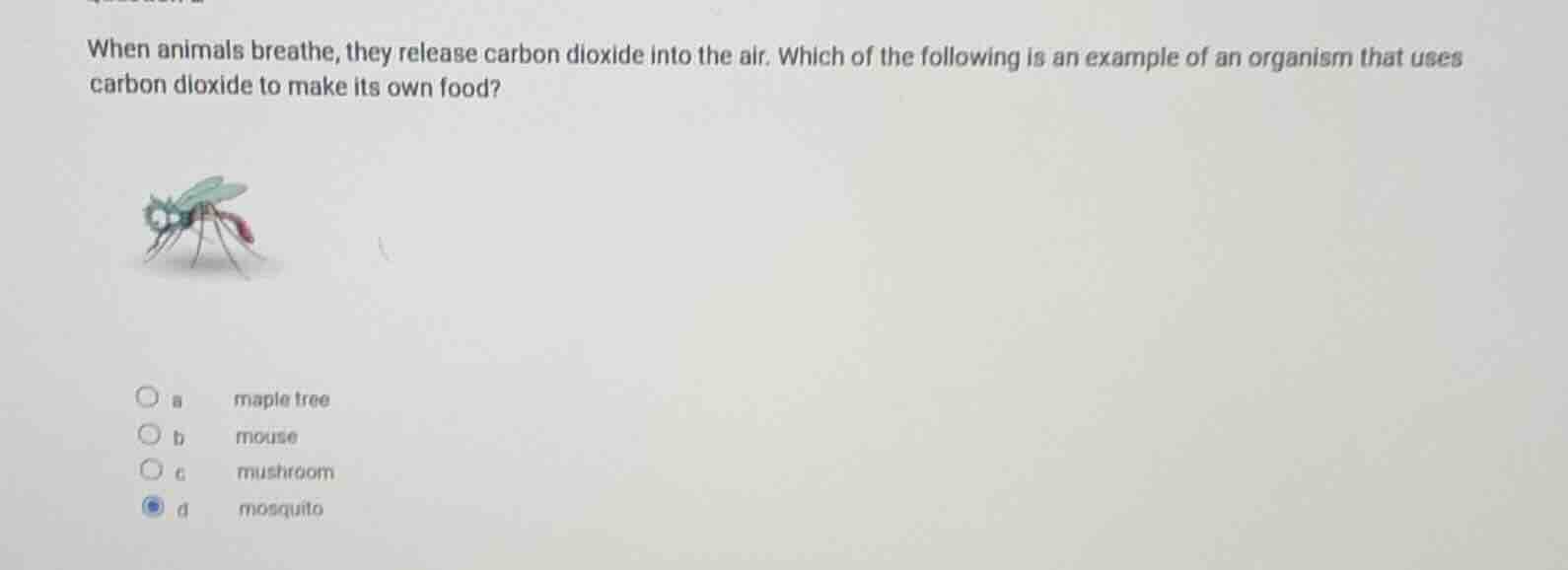 when animals breathe, they release carbon dioxide into the air. which o…
