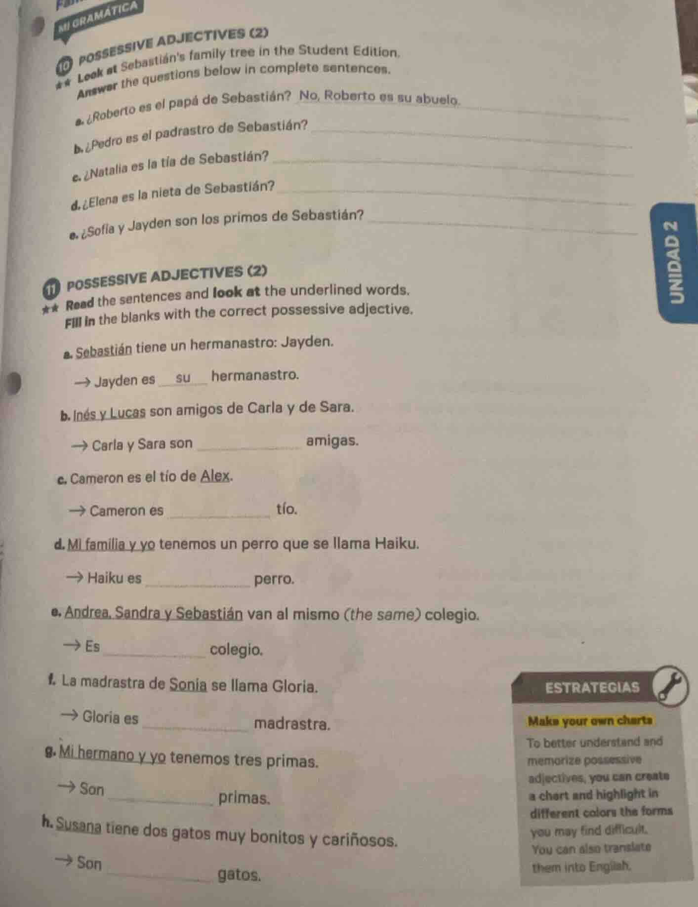 mi gramática 10 possessive adjectives (2) look at sebastiáns family tre…