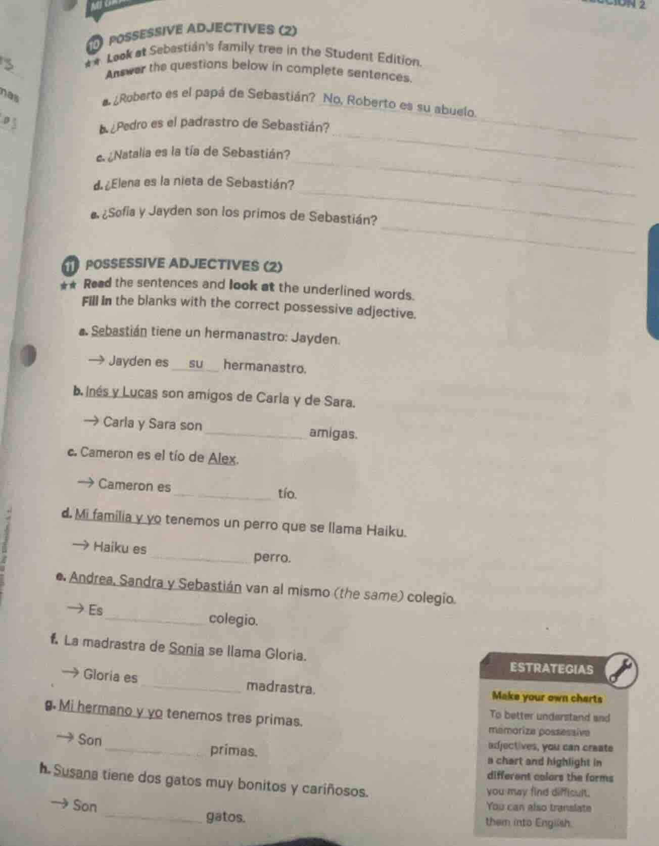 10 possessive adjectives (2) ** look at sebastiáns family tree in the s…