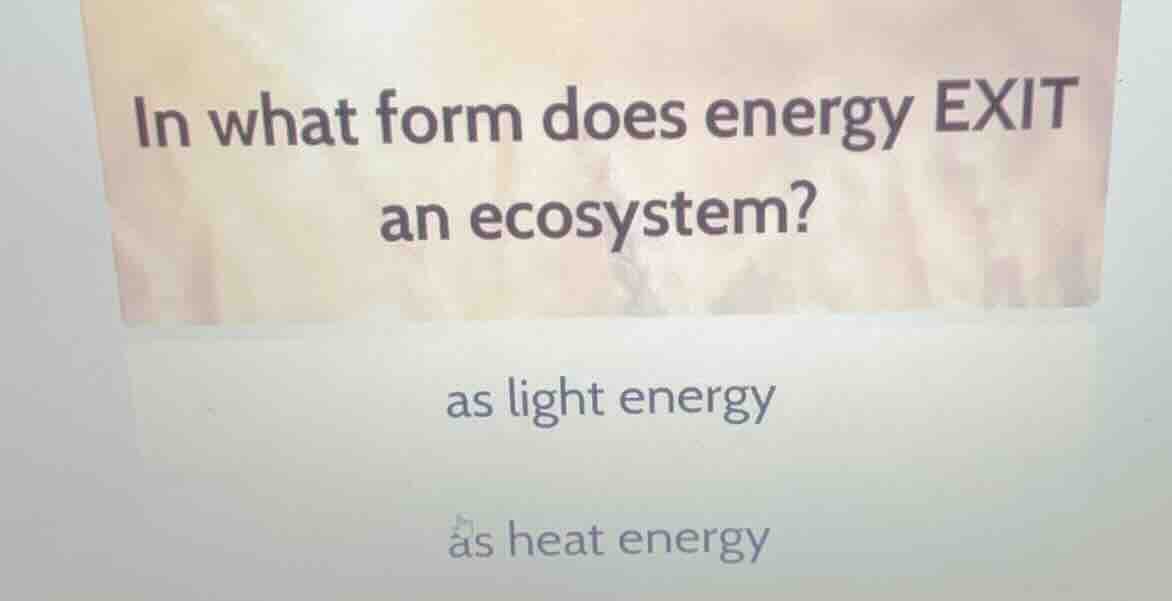 in what form does energy exit an ecosystem? as light energy as heat ene…