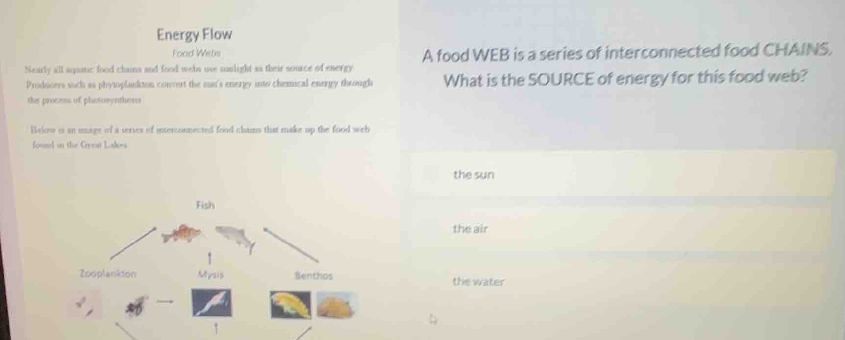 energy flow food webs nearly all aquatic food chains and food webs use …