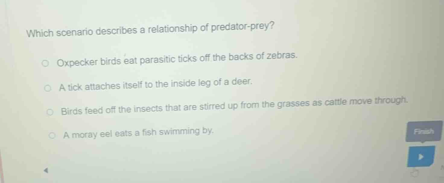which scenario describes a relationship of predator - prey? oxpecker bi…