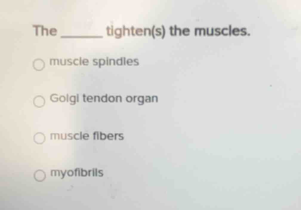the ______ tighten(s) the muscles. muscle spindles golgi tendon organ m…