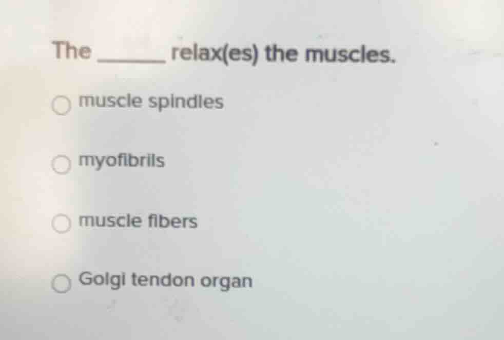 the ______ relax(es) the muscles. muscle spindles myofibrils muscle fib…