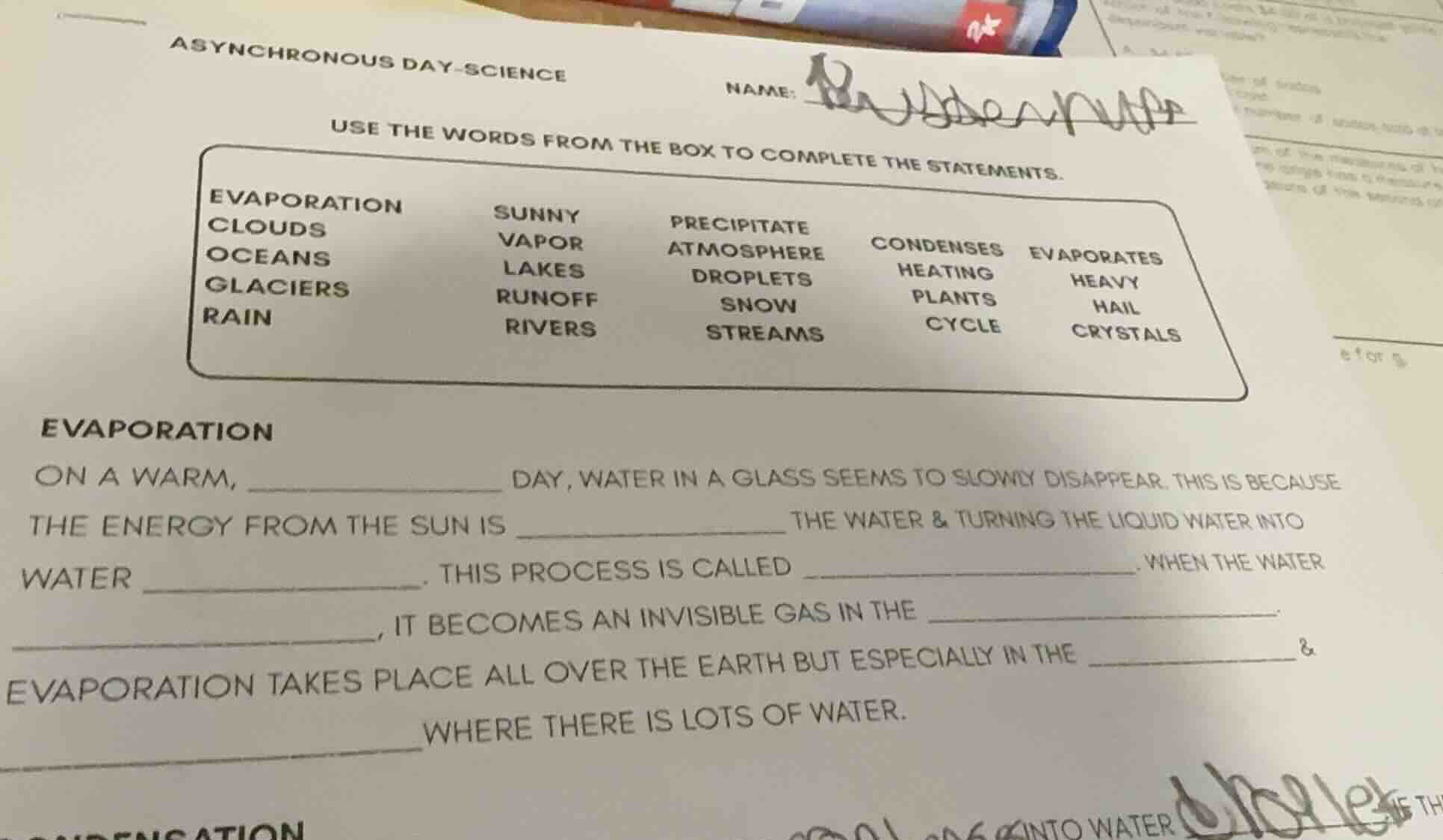 asynchronous day - science name: use the words from the box to complete…