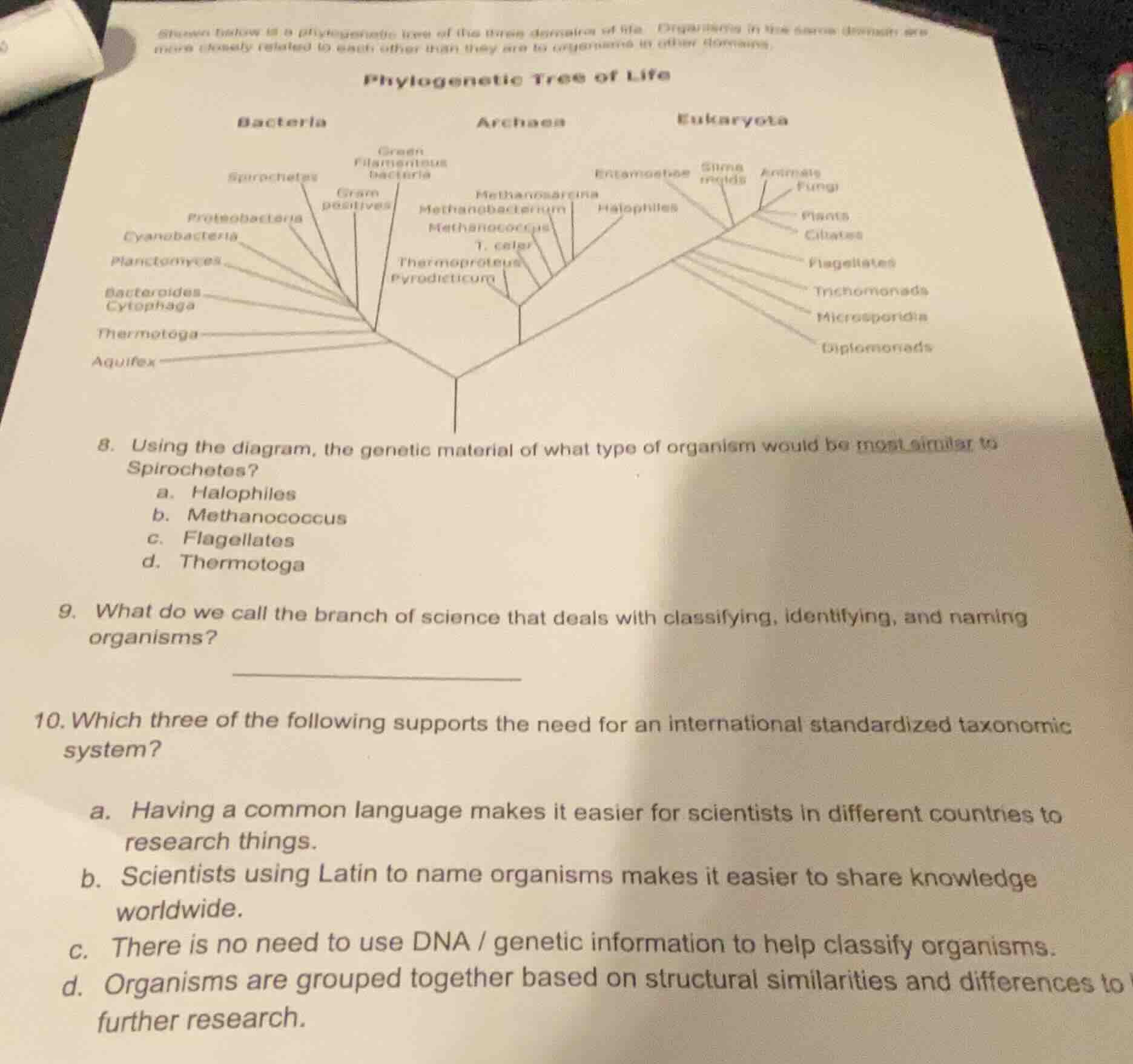 shown below is a phylogenetic tree of the three domains of life. organi…