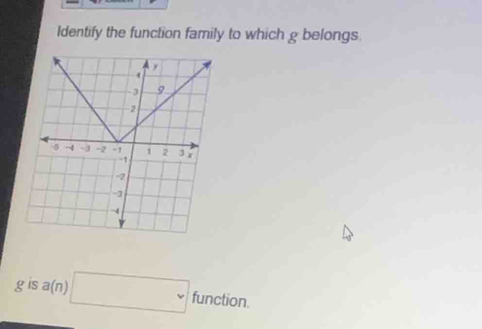 identify the function family to which g belongs. g is a(n) \\boxed{} fu…