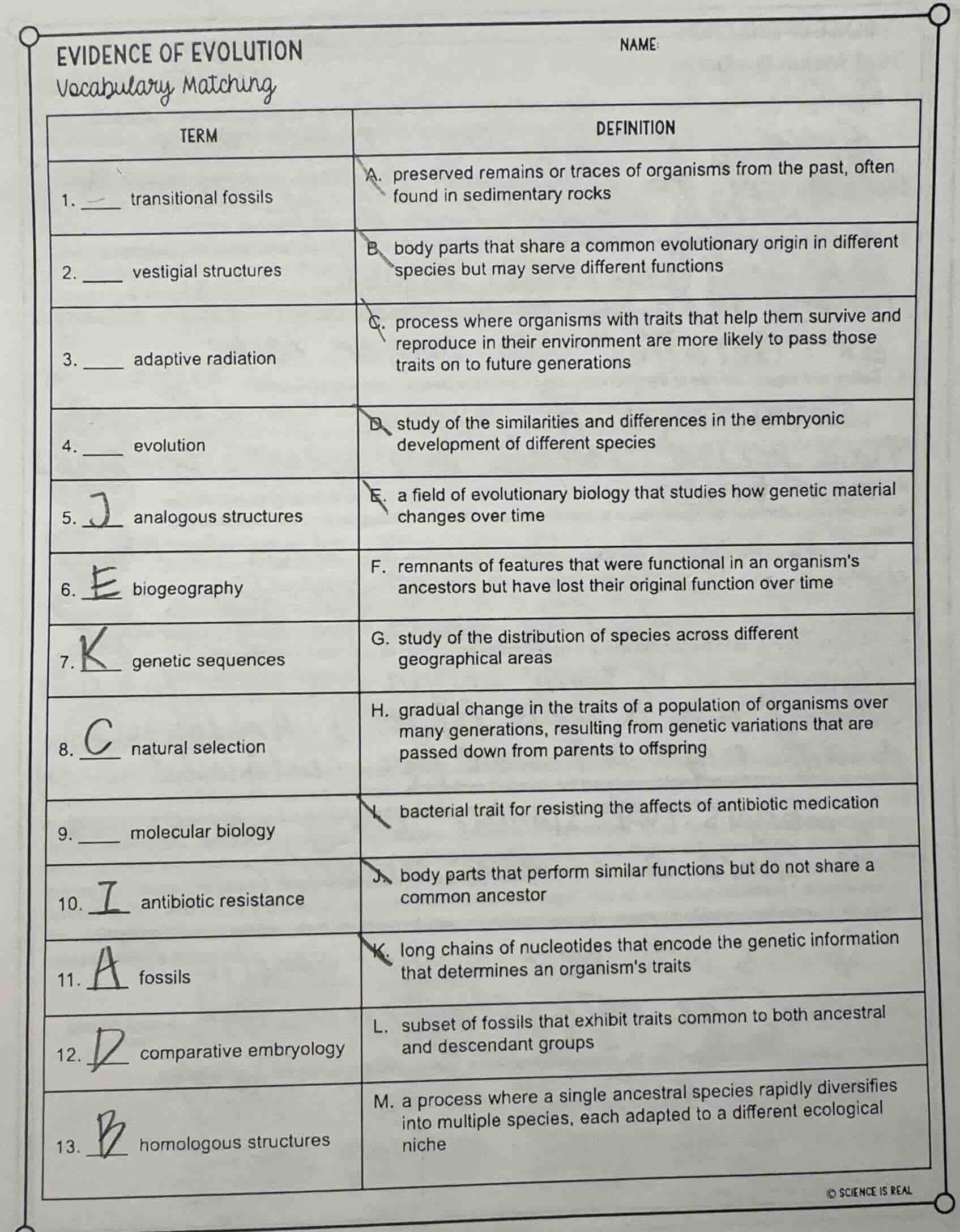 evidence of evolution vocabulary matching term | definition 1. ____ tra…