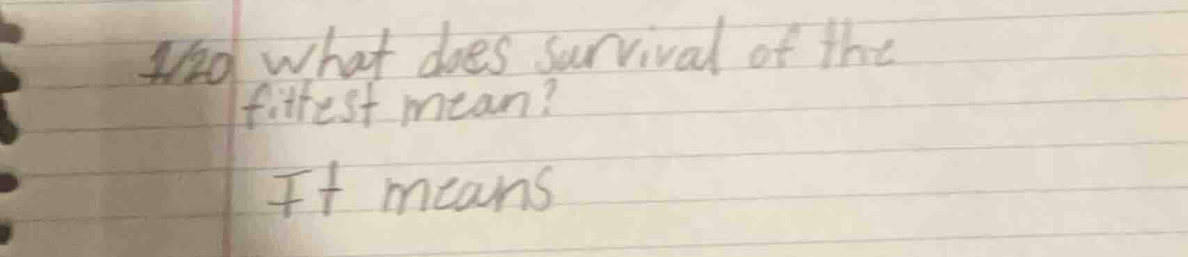 what does survival of the fittest mean? it means