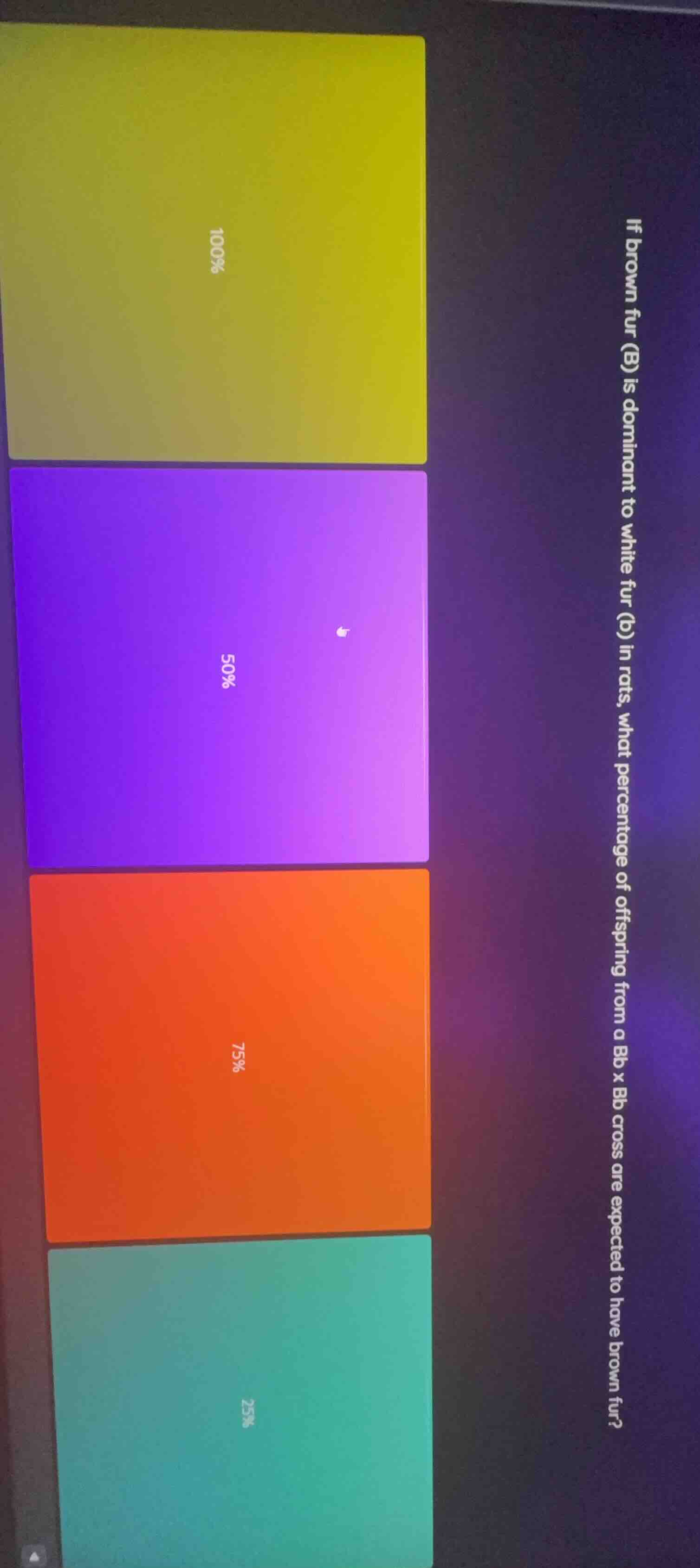 if brown fur (b) is dominant to white fur (b) in rats, what percentage …