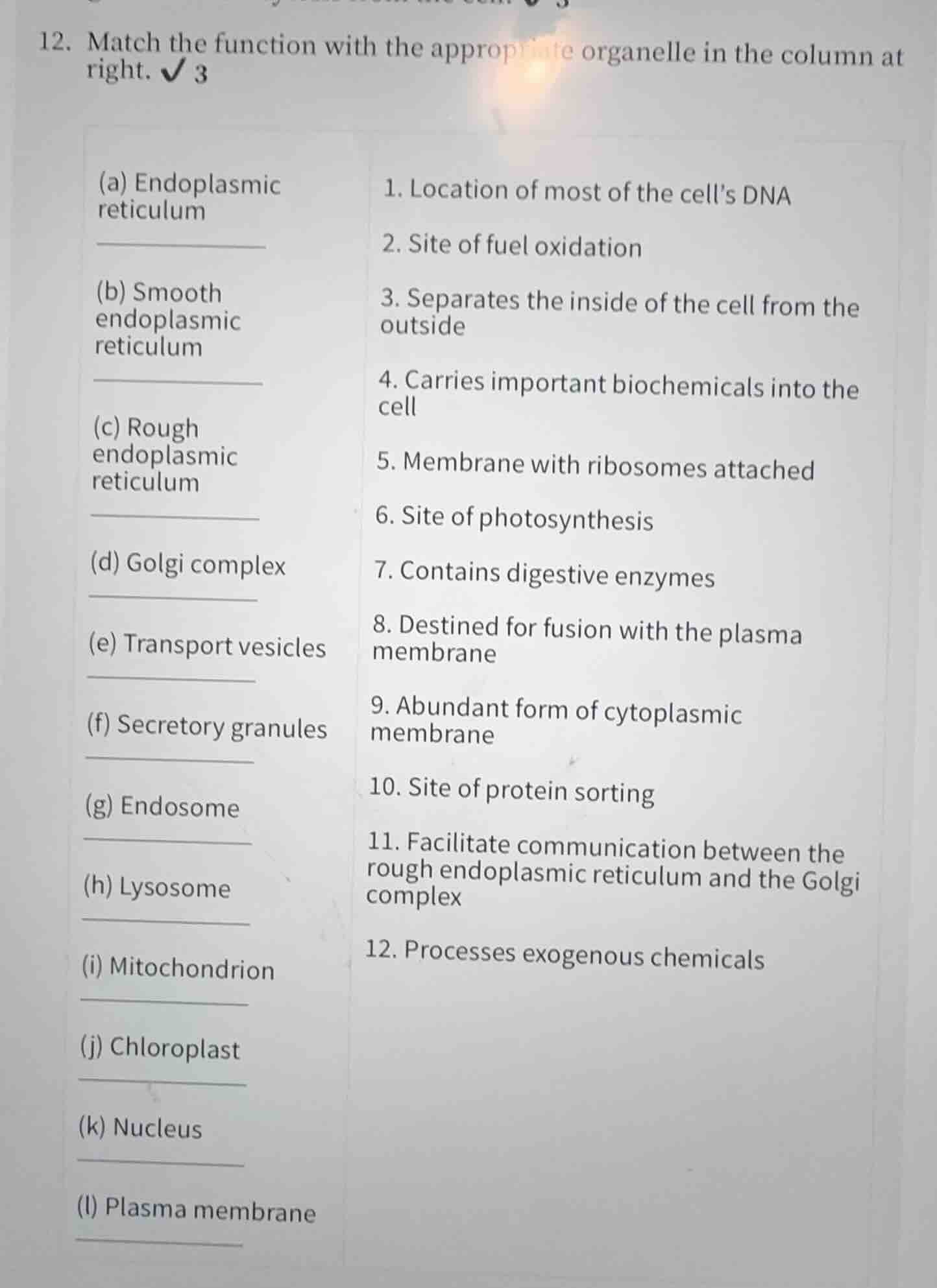 12. match the function with the appropriate organelle in the column at …