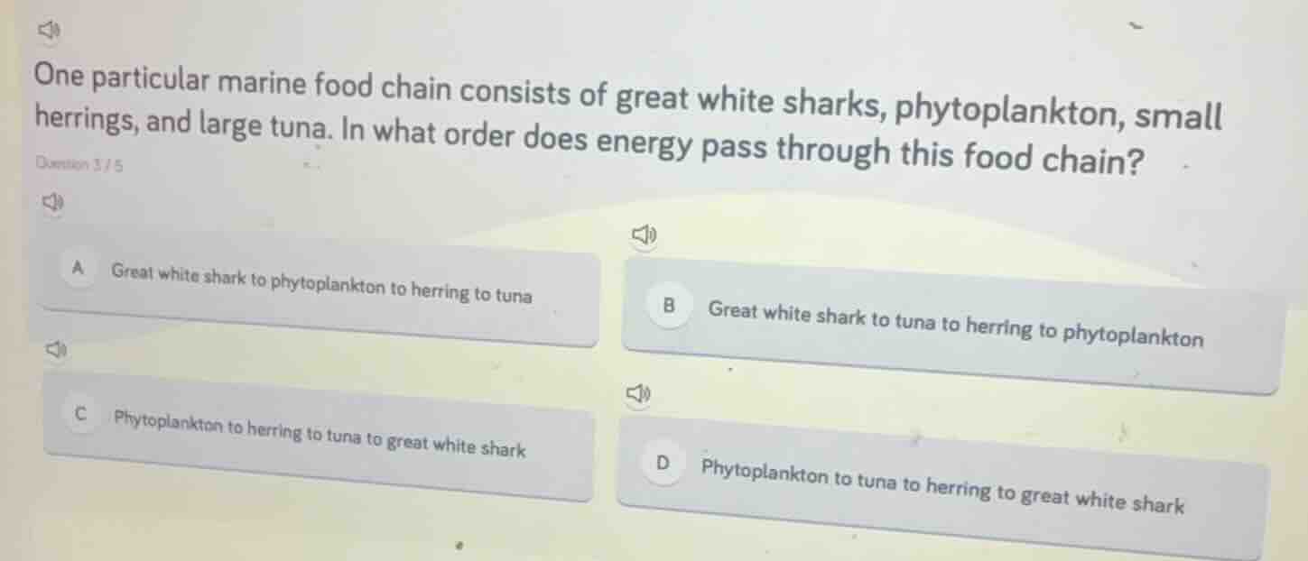 one particular marine food chain consists of great white sharks, phytop…