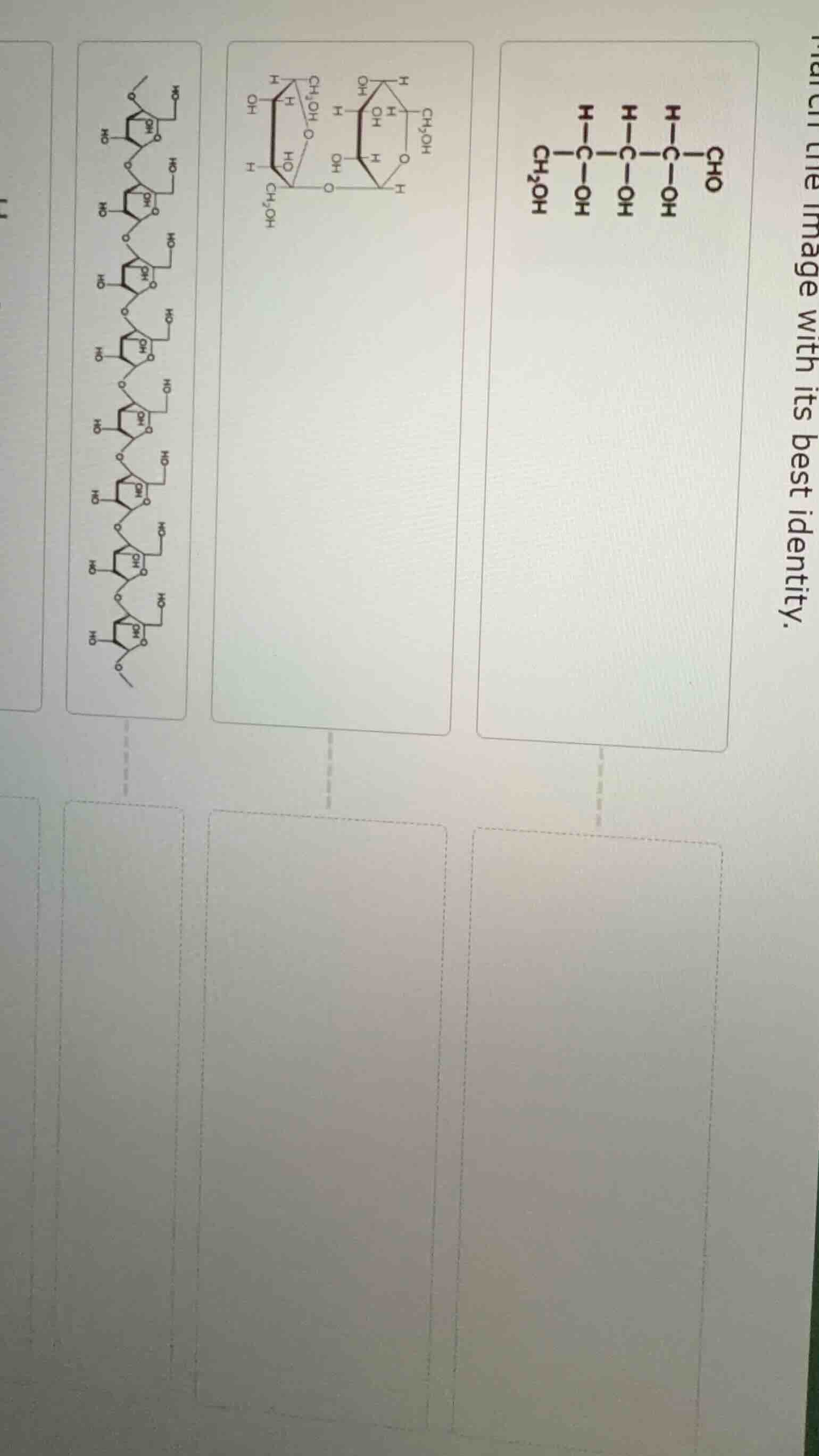 match the image with its best identity.