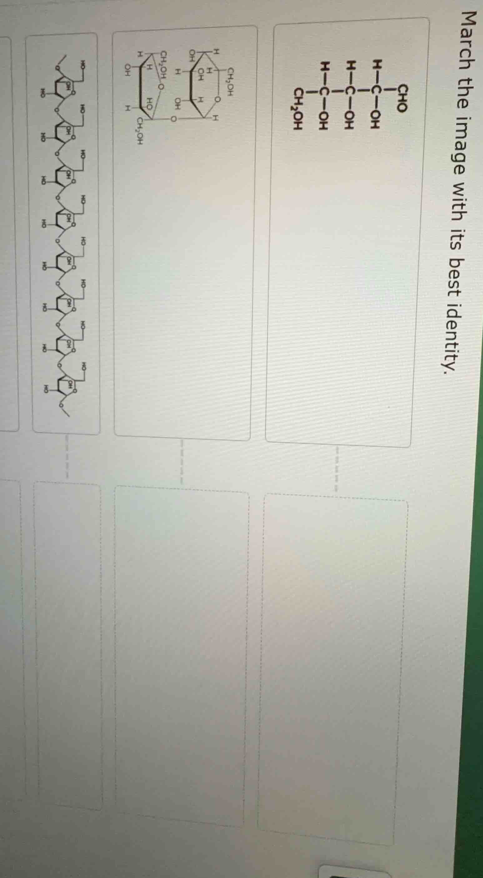 march the image with its best identity.