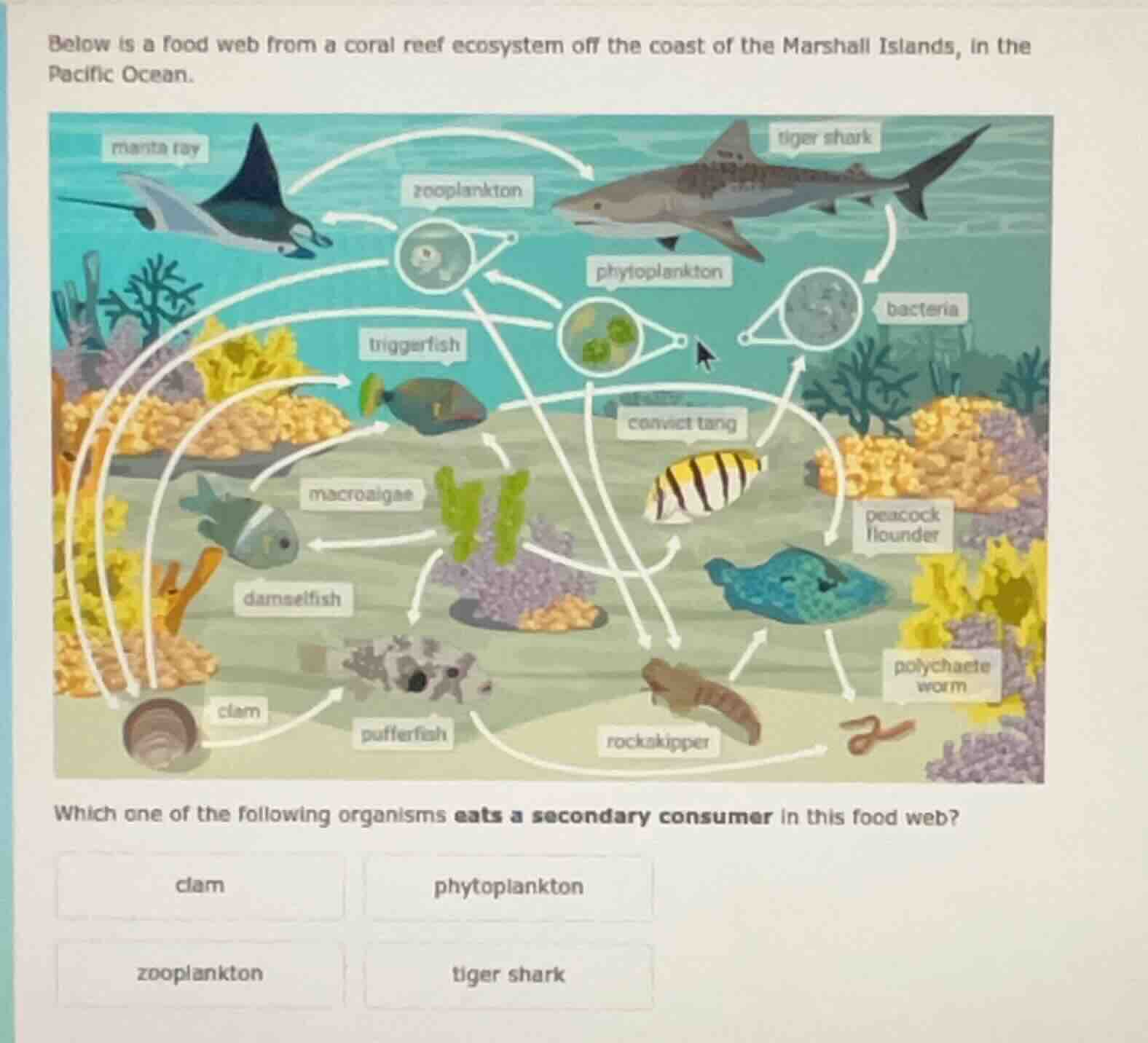 below is a food web from a coral reef ecosystem off the coast of the ma…