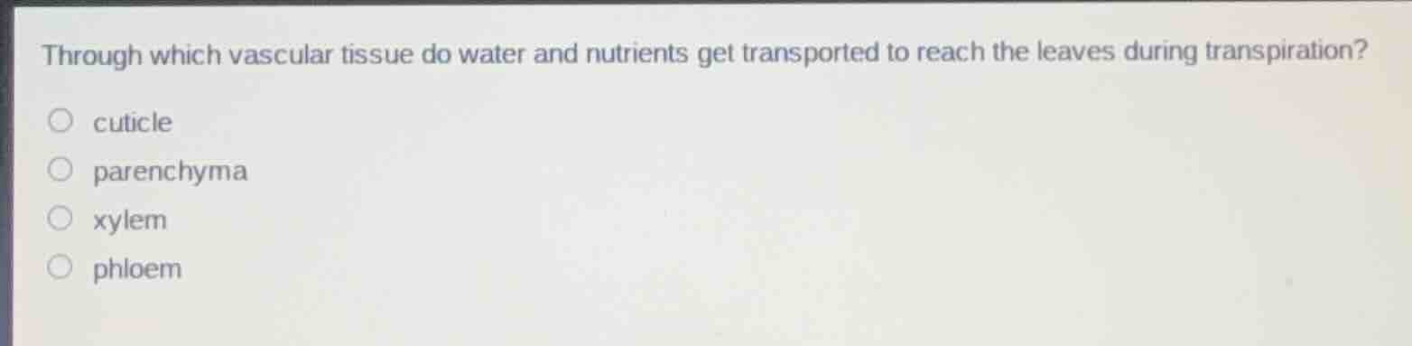 through which vascular tissue do water and nutrients get transported to…