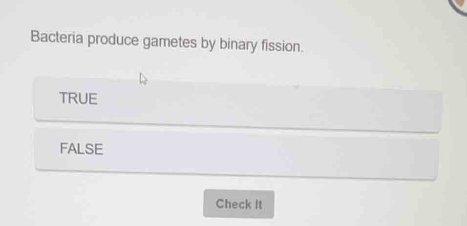 bacteria produce gametes by binary fission. true false check it