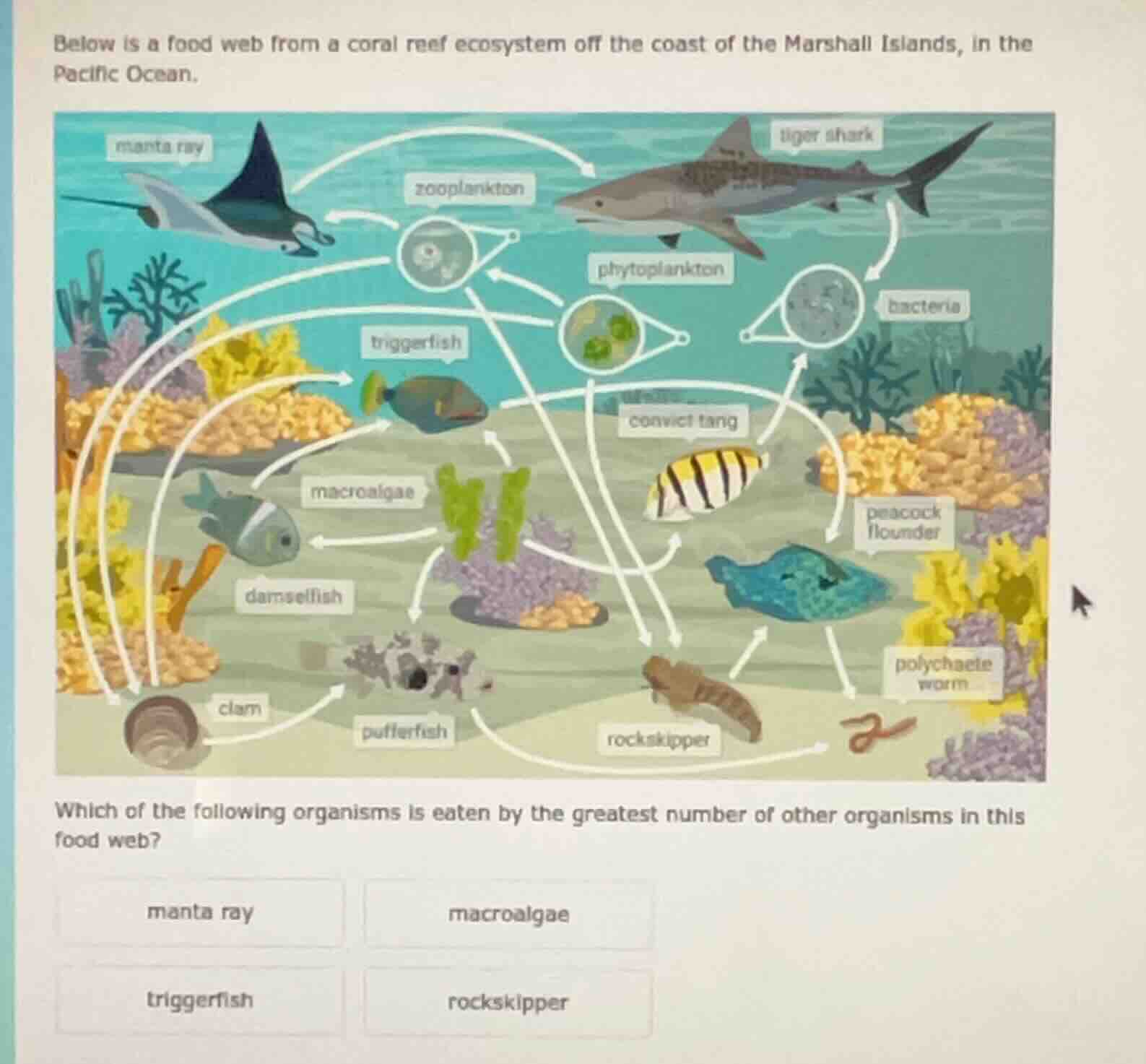 below is a food web from a coral reef ecosystem off the coast of the ma…