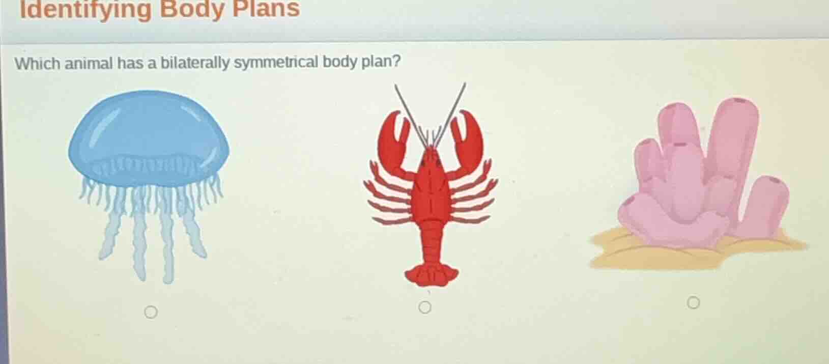 identifying body plans which animal has a bilaterally symmetrical body …