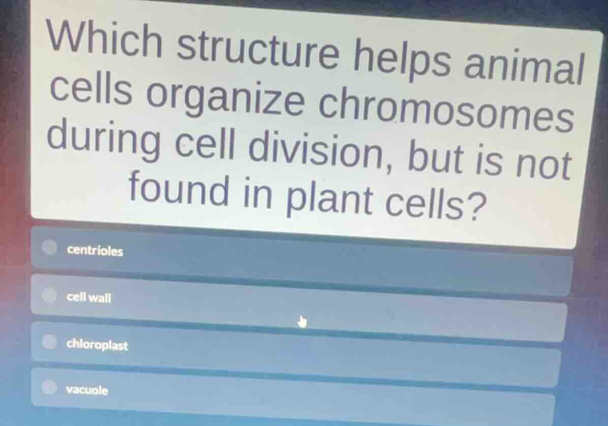 which structure helps animal cells organize chromosomes during cell div…