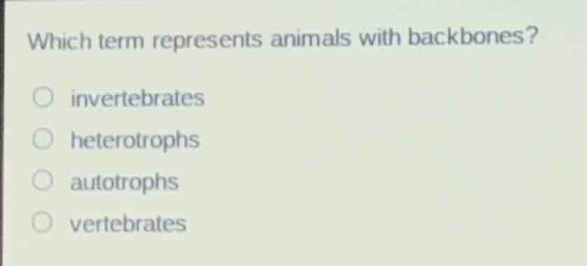 which term represents animals with backbones? ○ invertebrates ○ heterot…