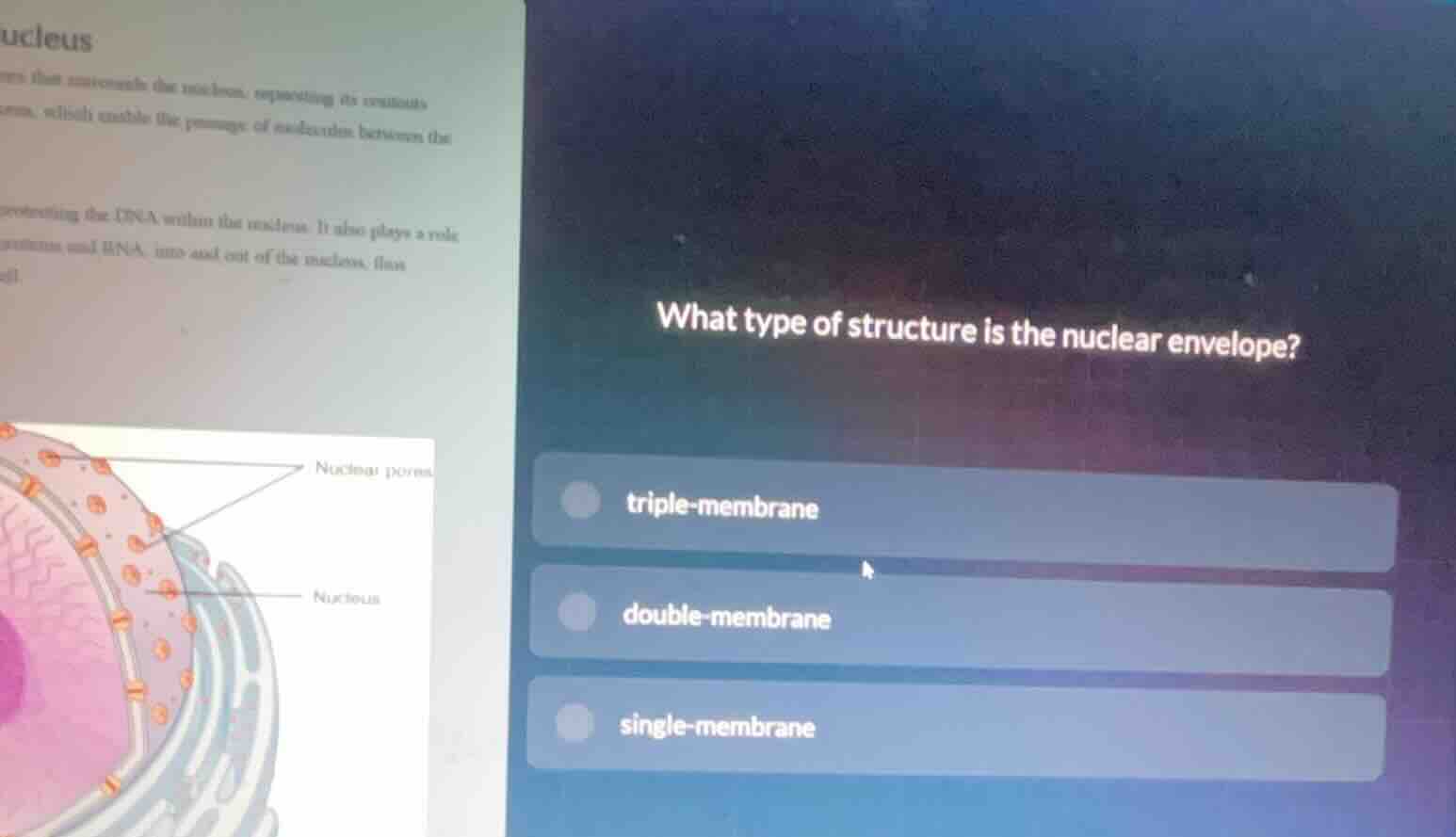 what type of structure is the nuclear envelope? triple - membrane doubl…