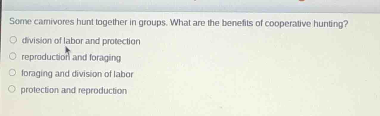 some carnivores hunt together in groups. what are the benefits of coope…