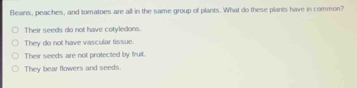 beans, peaches, and tomatoes are all in the same group of plants. what …