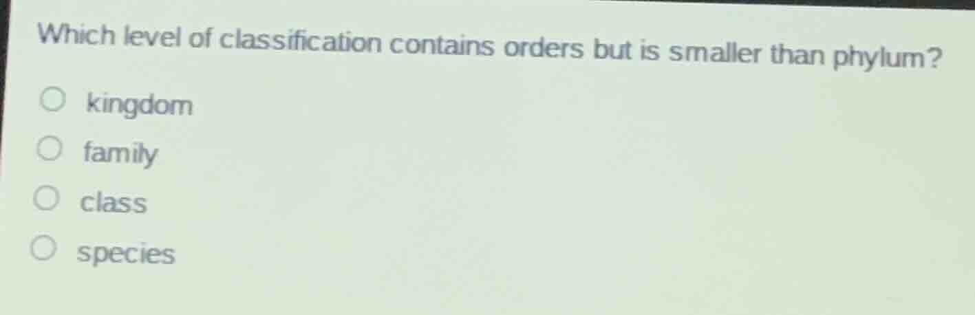 which level of classification contains orders but is smaller than phylu…