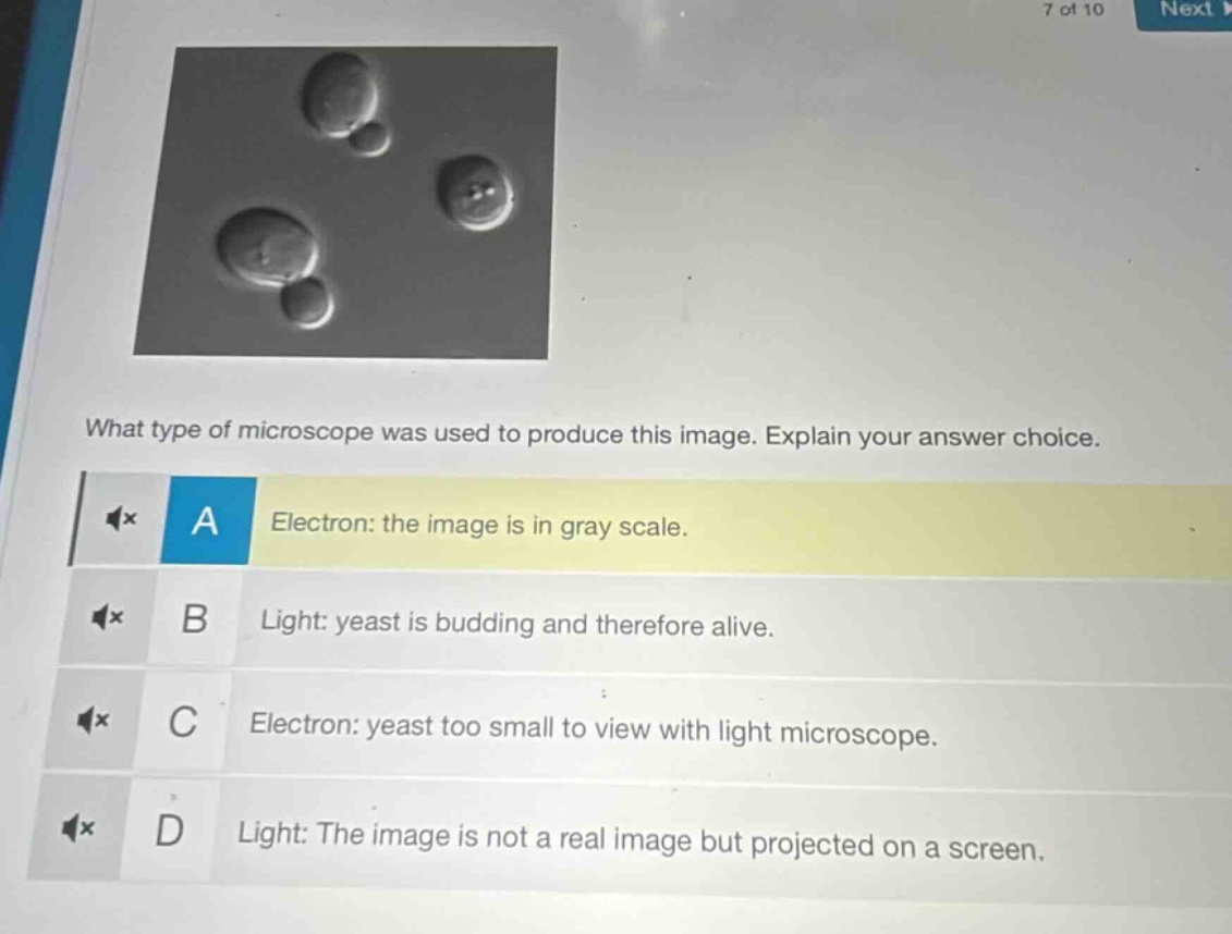 what type of microscope was used to produce this image. explain your an…