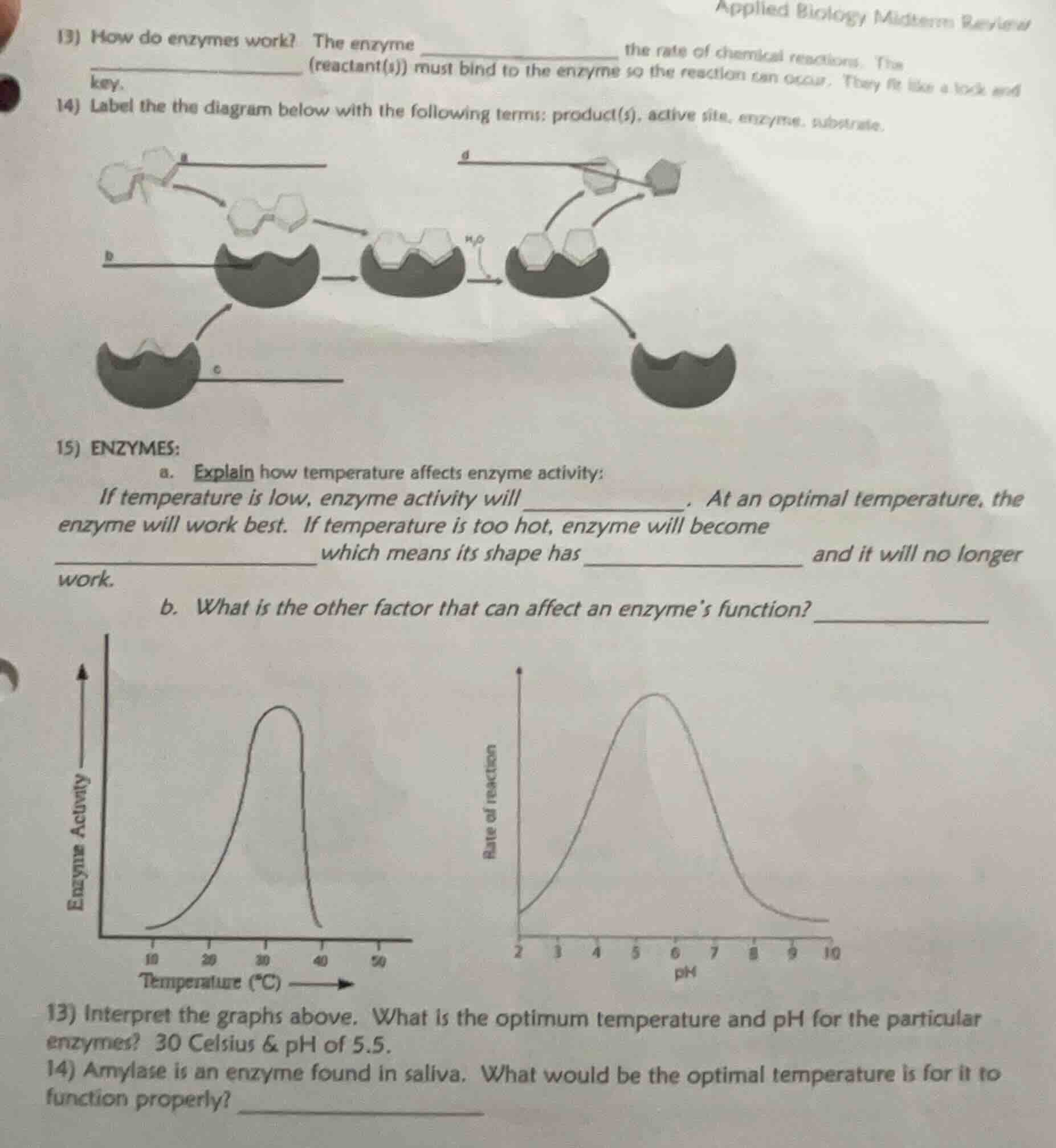 applied biology midterm review 13) how do enzymes work? the enzyme ____…