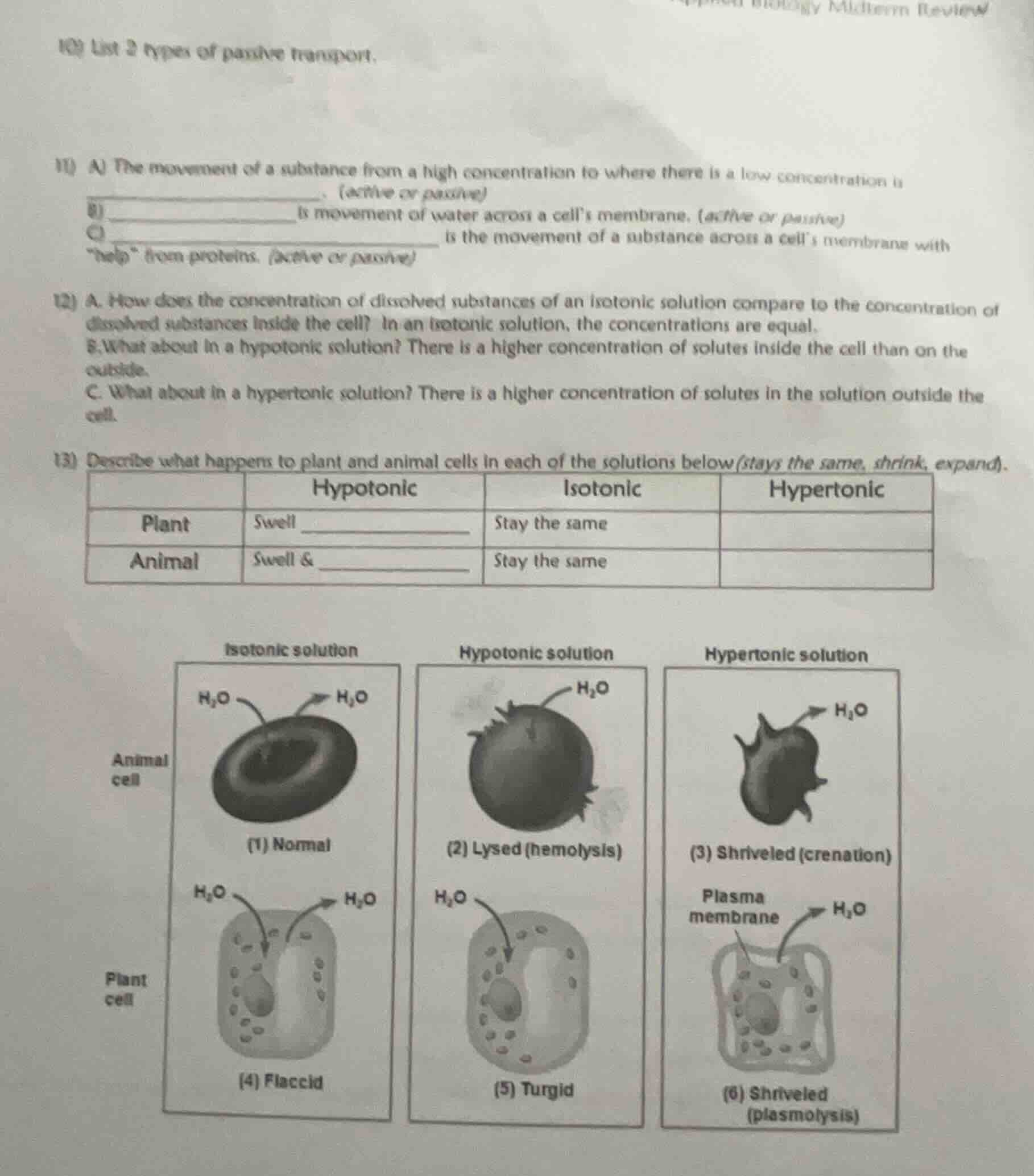 10) list 2 types of passive transport. 11) a) the movement of a substan…