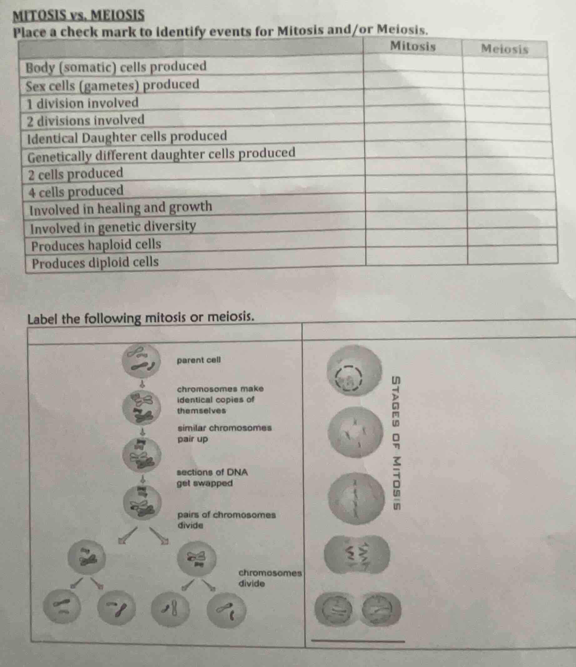 mitosis vs. meiosis place a check mark to identify events for mitosis a…