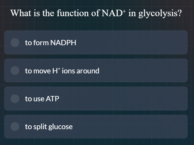 what is the function of nad⁺ in glycolysis? to form nadph to move h⁺ io…