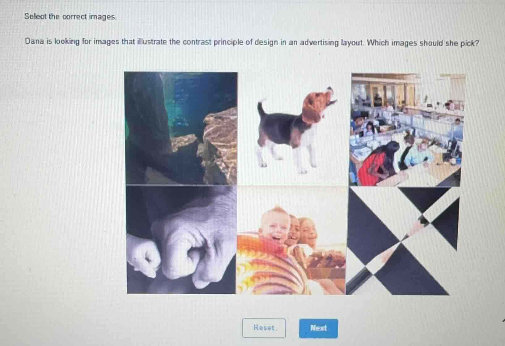 select the correct images. dana is looking for images that illustrate t…