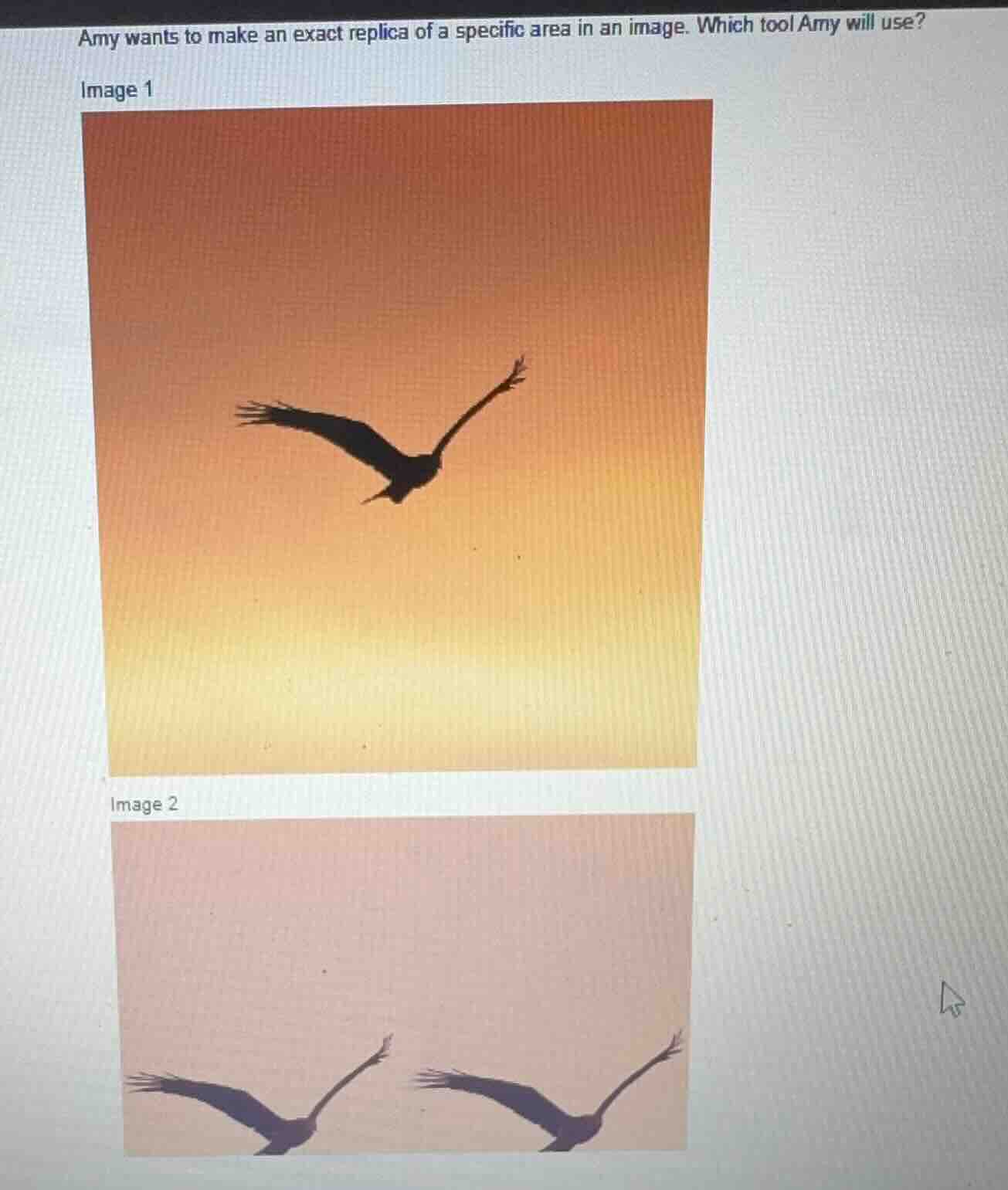 amy wants to make an exact replica of a specific area in an image. whic…
