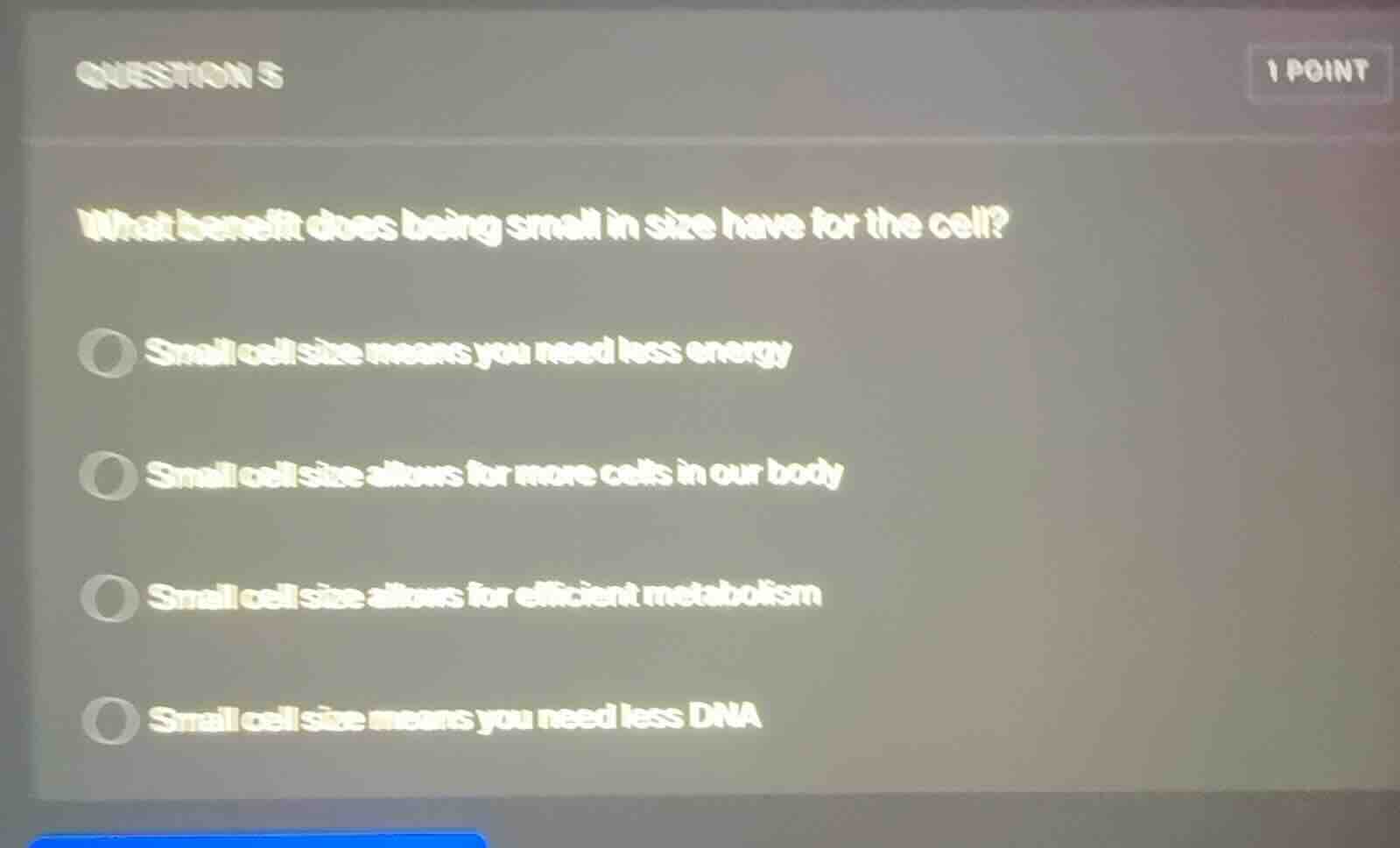 question 5 1 point what benefit does being small in size have for the c…