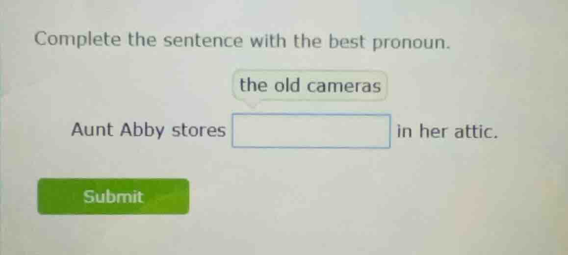 complete the sentence with the best pronoun. the old cameras aunt abby …
