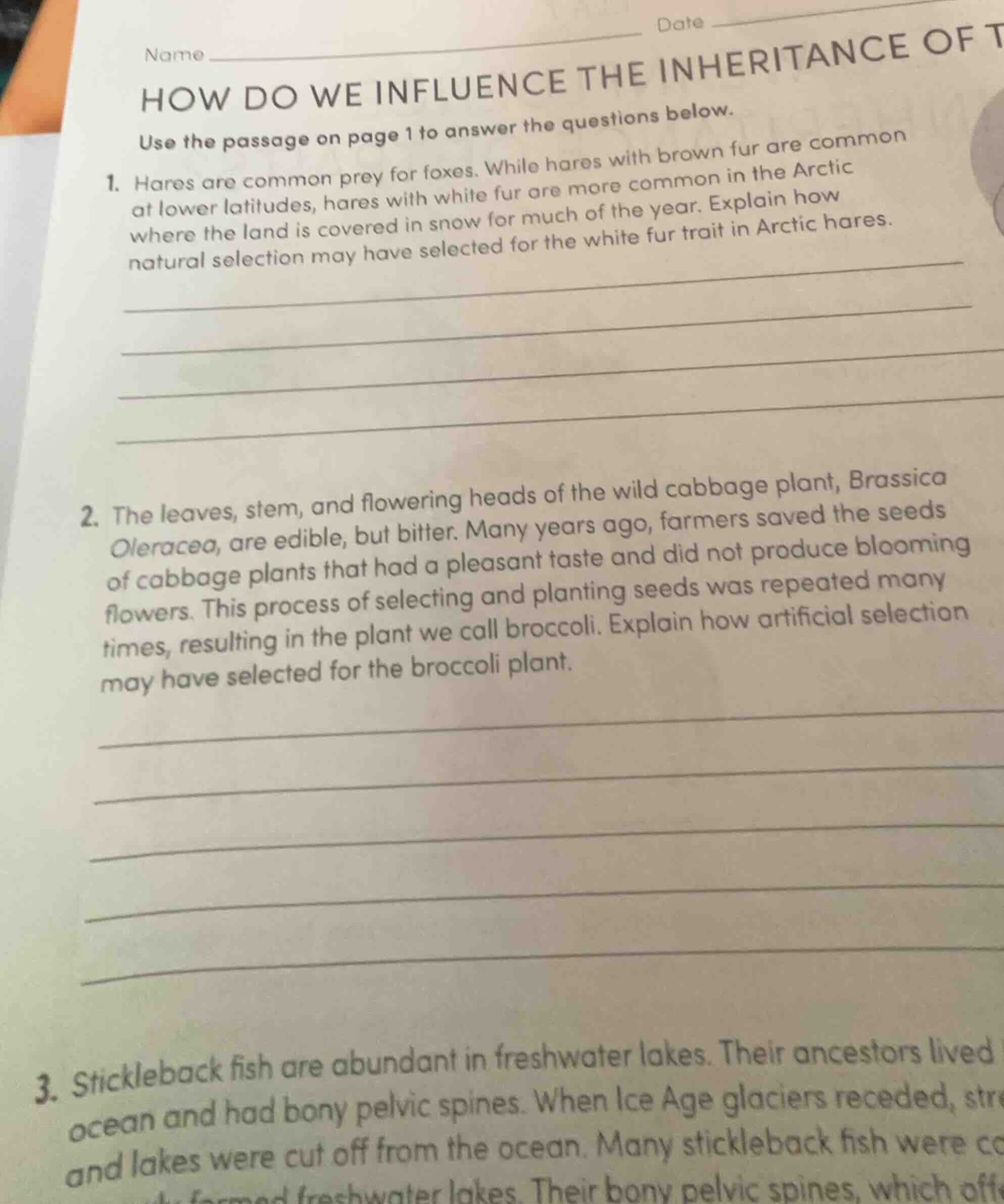 name ______ date ______ how do we influence the inheritance of t use th…