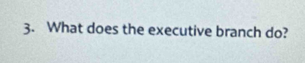 3. what does the executive branch do?