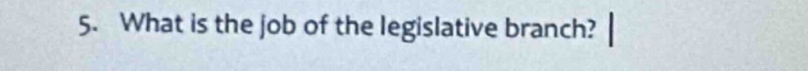 5. what is the job of the legislative branch?