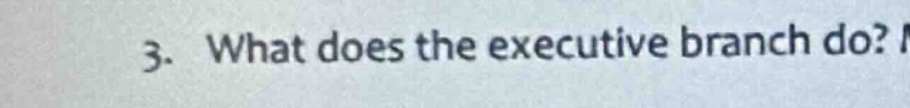 3. what does the executive branch do?