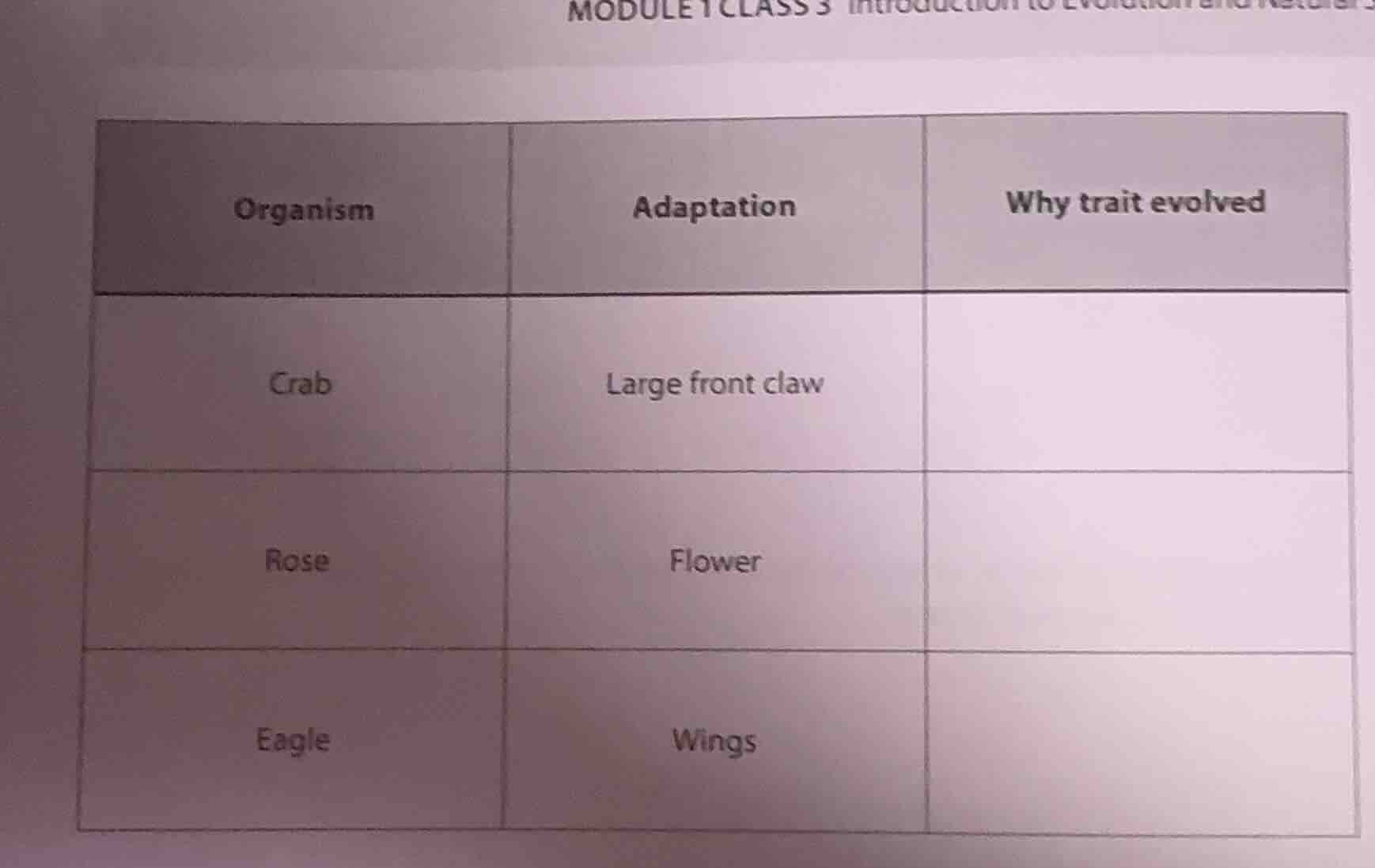 organism, adaptation, why trait evolved; crab, large front claw, ; rose…