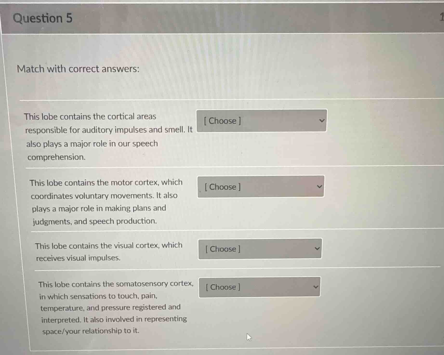 question 5 match with correct answers: this lobe contains the cortical …