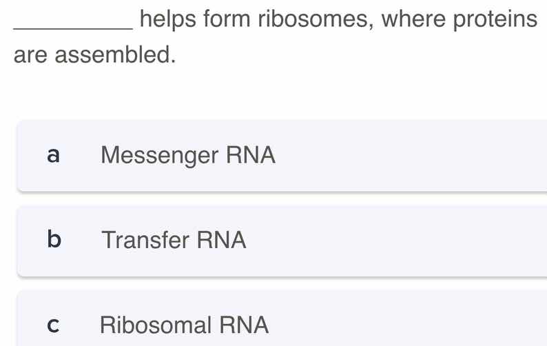________ helps form ribosomes, where proteins are assembled. a messenge…