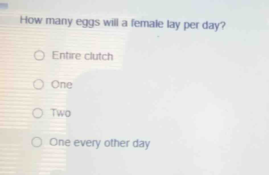 how many eggs will a female lay per day? entire clutch one two one ever…