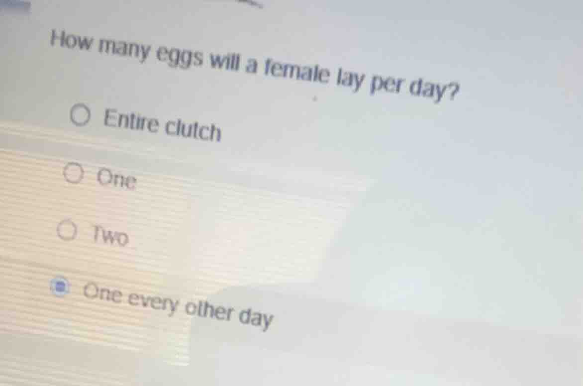 how many eggs will a female lay per day? ○ entire clutch ○ one ○ two ○ …