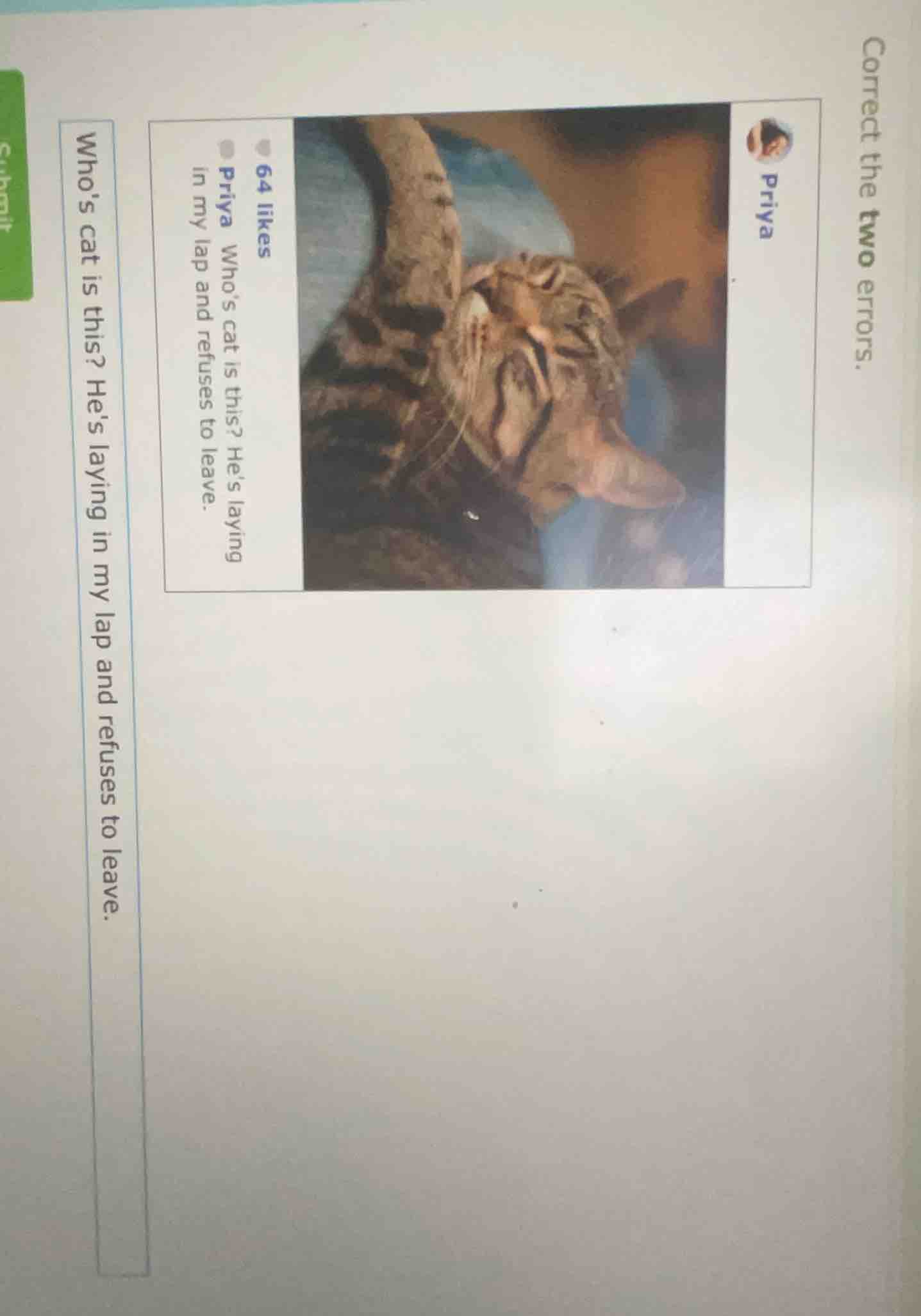 correct the two errors. priya 64 likes priya whos cat is this? hes layi…