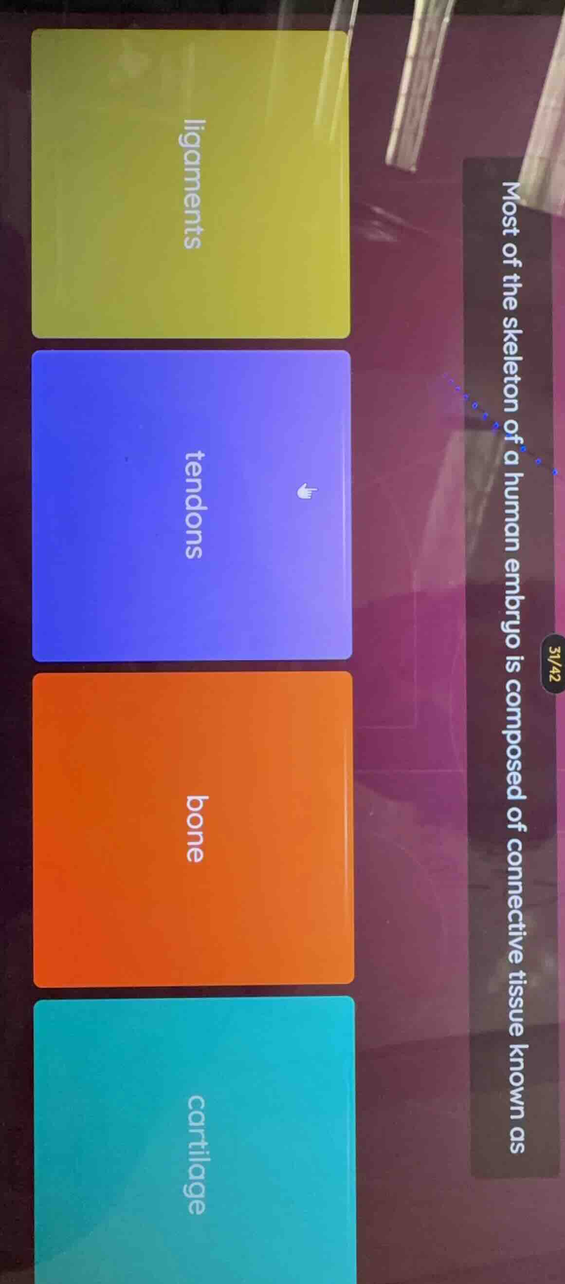 most of the skeleton of a human embryo is composed of connective tissue…