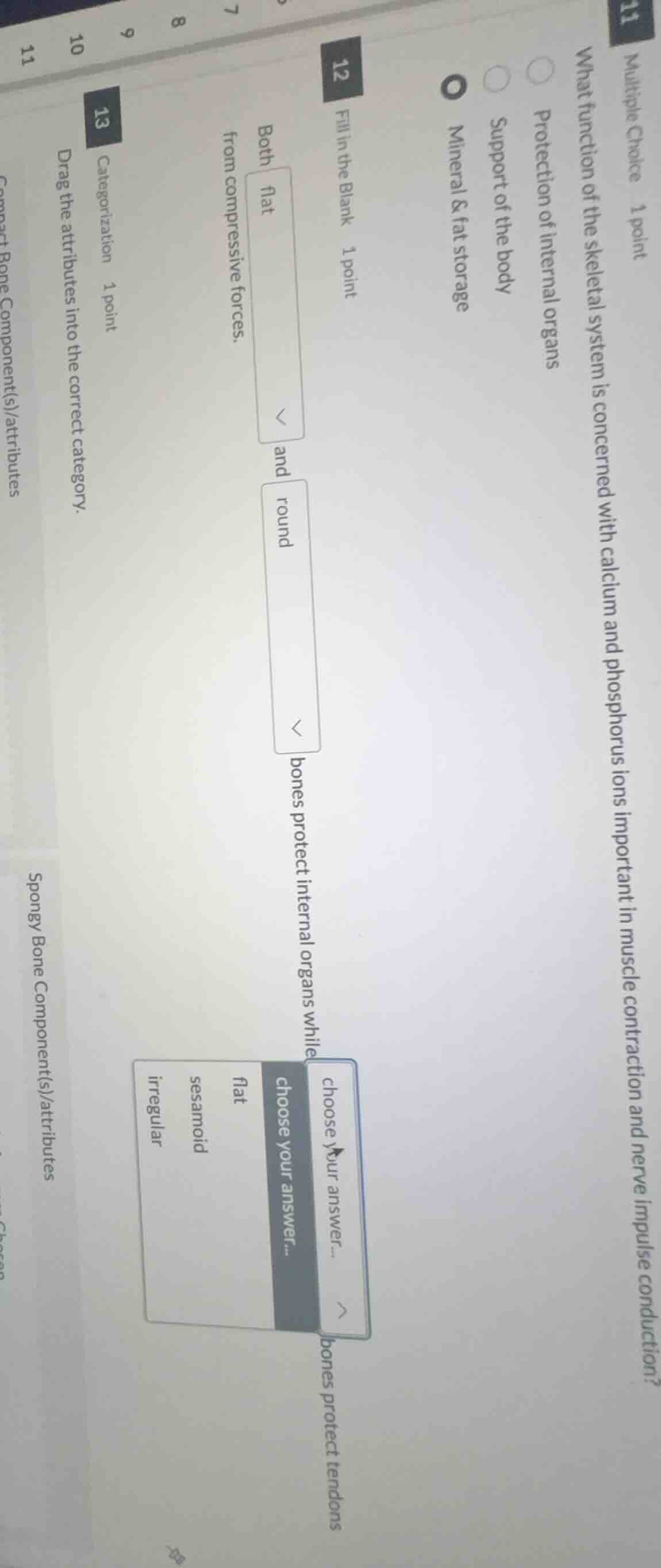 multiple choice 1 point what function of the skeletal system is concern…